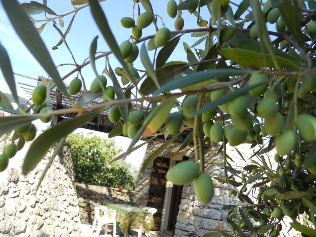 Agriturismo Specchiarussa Morciano di Leuca Habitación foto